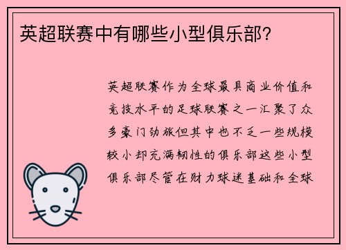 英超联赛中有哪些小型俱乐部?