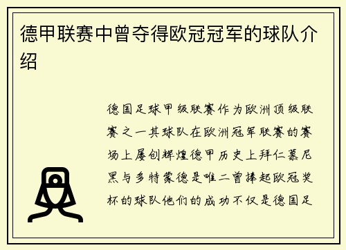 德甲联赛中曾夺得欧冠冠军的球队介绍