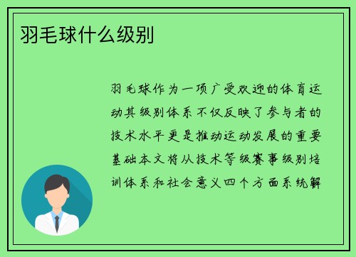羽毛球什么级别